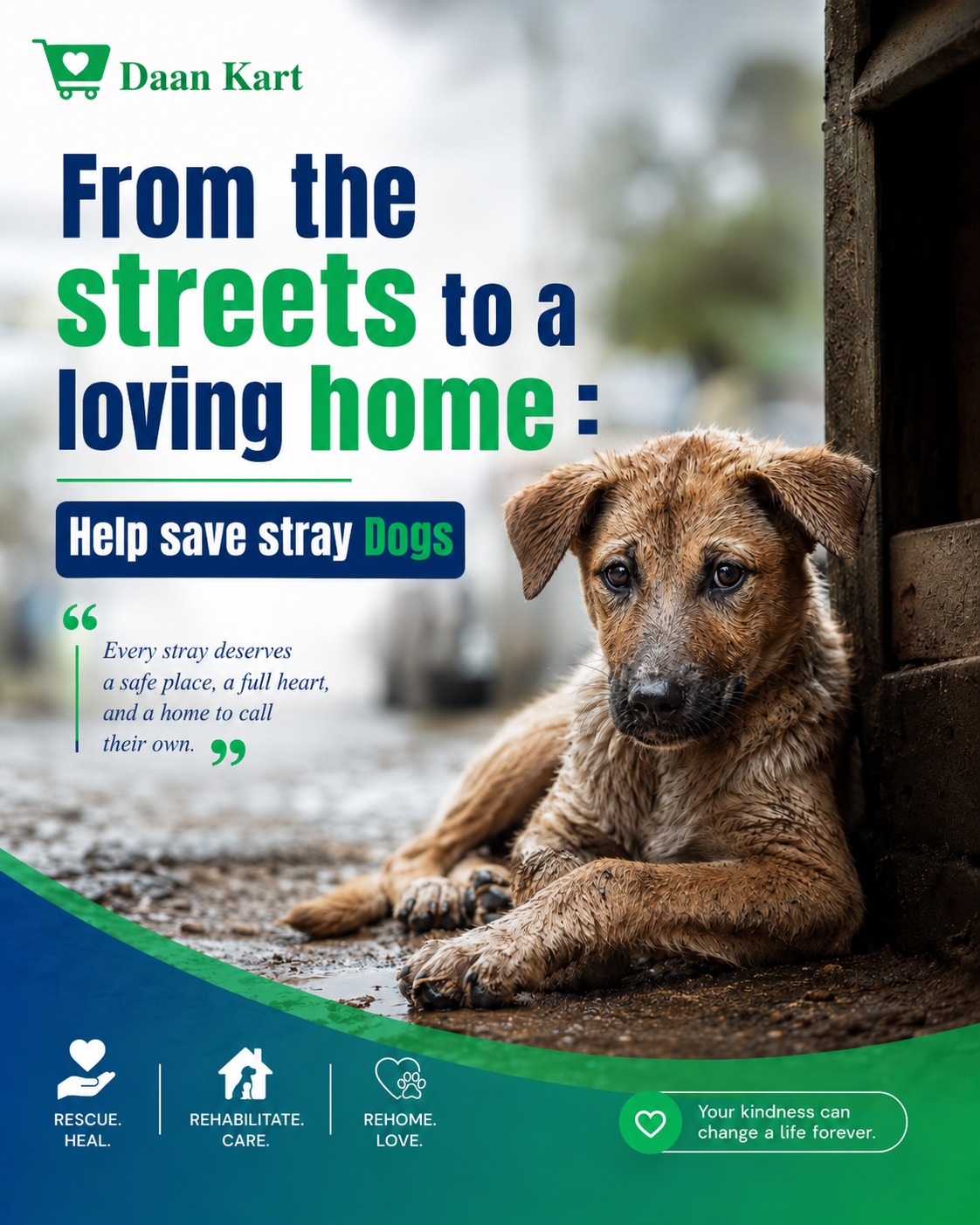 From the Streets to a Loving Home: Help Save Stray Dogs photo 2